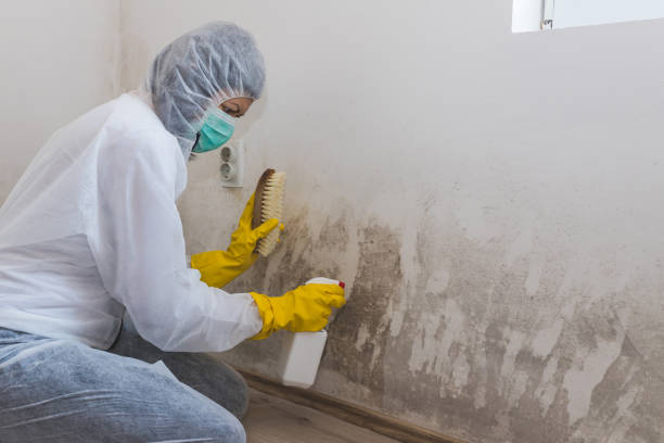 Best Bathroom Mold Remediation in Crystal Lake, CT